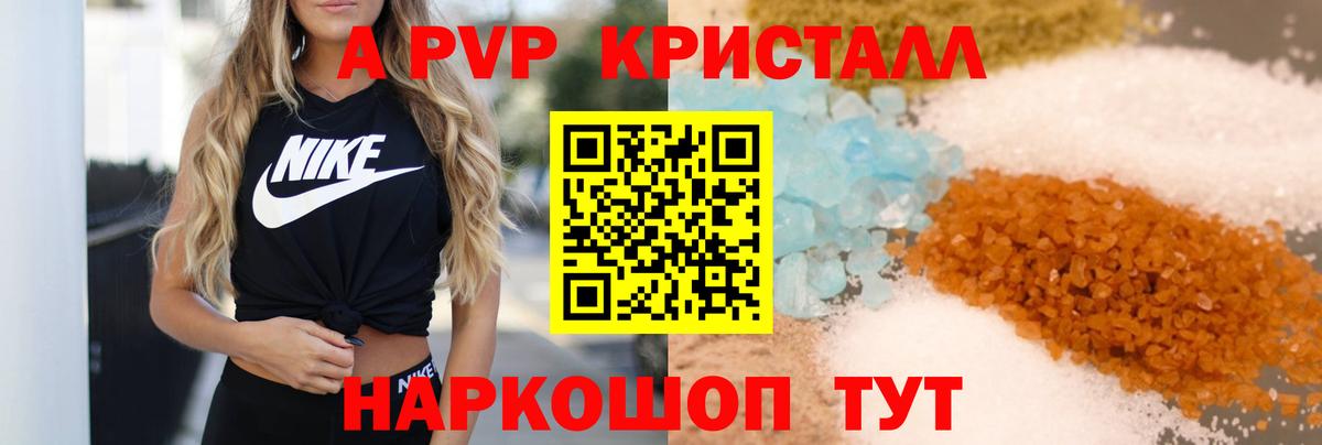 A PVP СК КРИС Петропавловск-Камчатский