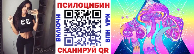 как найти закладки  Петропавловск-Камчатский  Псилоцибиновые грибы Psilocybine cubensis 