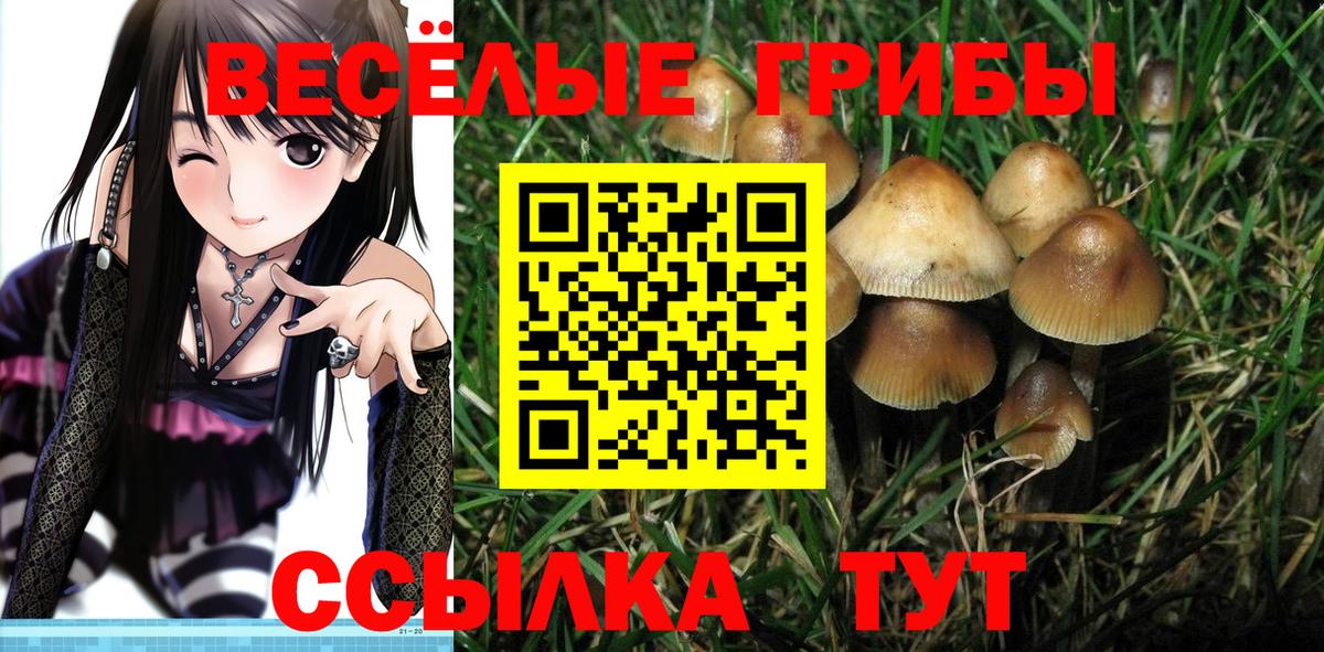 Псилоцибиновые грибы мицелий  Псилоцибиновые грибы Psilocybe  Вход с VPN  Петропавловск-Камчатский 