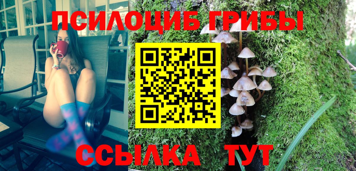 Галлюциногенные грибы MAGIC MUSHROOMS  наркота  Петропавловск-Камчатский 