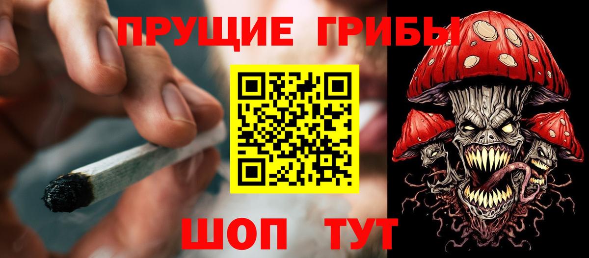 Псилоцибиновые грибы мицелий Петропавловск-Камчатский